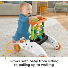 Интерактивные двухсторонние ходунки Фишер Прайс Fisher-Price 2-Sided Steady Speed Panda Walker