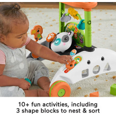 Интерактивные двухсторонние ходунки Фишер Прайс Fisher-Price 2-Sided Steady Speed Panda Walker