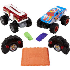 Монстр Трак Хот Вілс 2 шт Wheels RC Monster Trucks 2-Pack  in 1:24