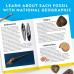 Научный набор раскопки камней National Geographic Mega Fossil Dig Kit