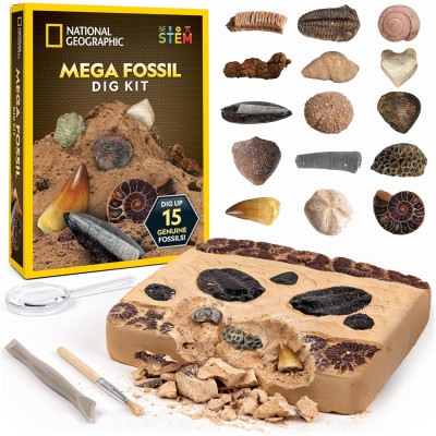 Научный набор раскопки камней National Geographic Mega Fossil Dig Kit