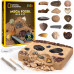 Научный набор раскопки камней National Geographic Mega Fossil Dig Kit