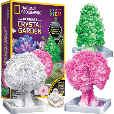 Науковий набір Кристалічний сад National Geographic Crystal Garden RT Box Science Kit