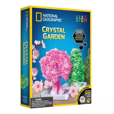 Научный набор Кристалический сад National Geographic Crystal Garden RT Box Science Kit