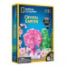 Научный набор Кристалический сад National Geographic Crystal Garden RT Box Science Kit