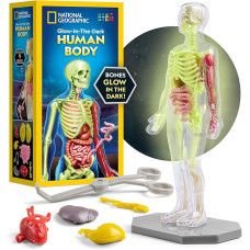 Научный анатомический игровой набор National Geographic Glow In The Dark Human Body