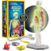 Научный анатомический игровой набор National Geographic Glow In The Dark Human Body Научный анатомический игровой набор National Geographic Glow In The Dark Human Body