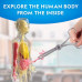 Науковий анатомічний ігровий набір National Geographic Glow In The Dark Human Body
