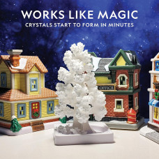 Научный набор Кристалический сад NATIONAL GEOGRAPHIC Craft Kits for Kids Crystal Growing Kit