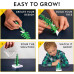 Научный набор Кристалический сад NATIONAL GEOGRAPHIC Craft Kits for Kids Crystal Growing Kit