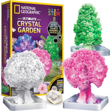 Научный набор Кристалический сад NATIONAL GEOGRAPHIC Craft Kits for Kids Crystal Growing Kit