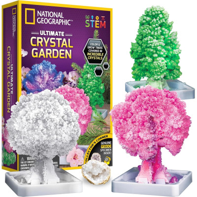 Научный набор Кристалический сад NATIONAL GEOGRAPHIC Craft Kits for Kids Crystal Growing Kit