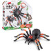 Интерактивная игрушка Гигантский тарантул  Robo Alive Giant Tarantula by ZURU
