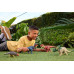 Фігурка динозавр Баріонікс Mattel Jurassic World Barionyks JGC79
