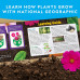 Набір STEM для вирощування квітів та трав National Geographic Flower Herb Gardening Kit