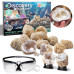 Набір STEM для пошуку справжніх кристалів Discovery Crack Open Geode Kit Mystery Crystal STEM Science Set Набір STEM для пошуку справжніх кристалів Discovery Crack Open Geode Kit Mystery Crystal STEM Science Set