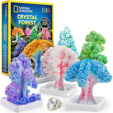 Набор STEM для выращивания кристаллов на деревьях National Geographic Crystal Growing Kit Grow 6 Crystal