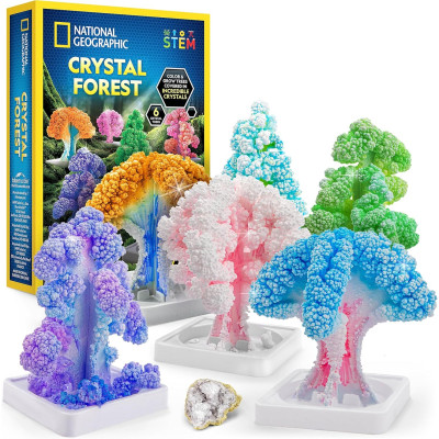 Набір для вирощування кристалів на деревах National Geographic Crystal Growing Kit Grow 6 Crystal